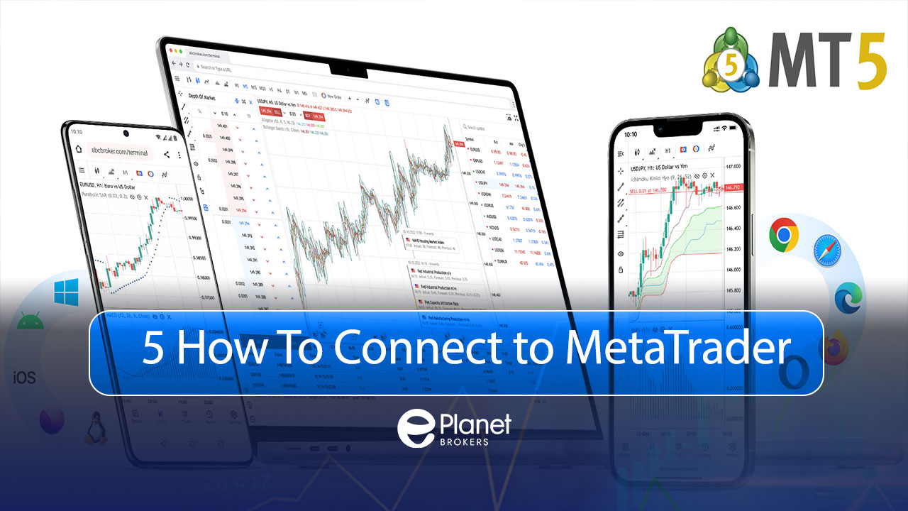 How to Connect Your Trading Account to MetaTrader 5